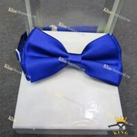 Nơ đeo cổ nam chú rể vải lụa phi bóng giá rẻ KING  - Xanh dương