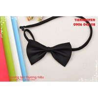 Nơ đeo cổ nam đẹp - nơ đeo cổ nam hà nội - đỏ