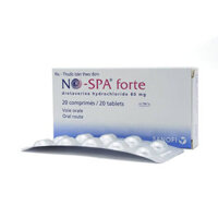No-Spa Forte 80mg điều trị co thắt cơ trơn, sỏi túi mật, sỏi ống mật  – CÔNG TY CỔ PHẦN NHÀ THUỐC NHÂN DÂN – PHƯỢNG HOÀNG