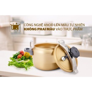 Nồi áp suất Anod Sunhouse SHA860 - 6L