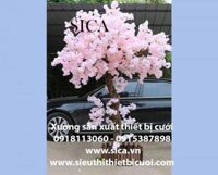 Nơi bán cây hoa anh Đào Nhật giả - Mã: CHL-05