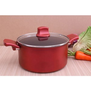 Nồi chống dính Tefal Character 24cm