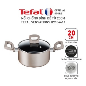 Nồi chống dính Tefal Sensations H9104414 - 20cm