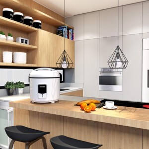 Nồi cơm điện Nasun NS-N502