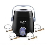NỒI CƠM ĐIỆN NHỎ RNICE