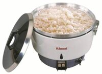 NỒI CƠM GAS RINNAI R10