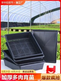 Nồi gieo hạt / / / Khung gieo hạt dày hình chữ nhật Nồi mọng nước Lá chèn khay gieo hạt Nồi rau vận chuyển Sto