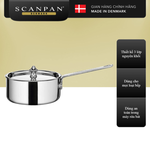 Nồi inox Scanpan MaitreD 11231400