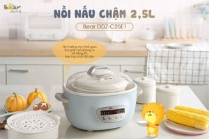 Nồi nấu chậm Bear DDZ-C25E1