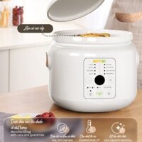 Nồi nấu chậm Bennix BN-30SLC dung tích 3L tiềm nguyên con gà