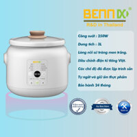 Nồi nấu chậm Điện Tử 3L bennix BN-30SLC kho cá, tiềm, nấu cháo … bảo hành 24 tháng