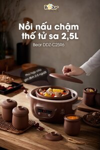 Nồi nấu chậm thố đất tử sa Bear DDZ - C25R6
