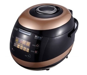 Nồi nấu trân châu tự động Aonuosi dung tích 5L