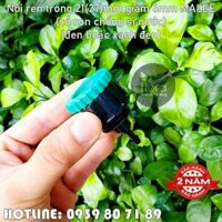 Nối ren trong 21 27 nối ống 6ly Malee (khóa siết chống bung, chống sì nước)