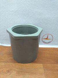 Nối ren trong PVC phi 60 Bình Minh