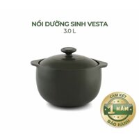 Nồi Sứ Dưỡng Sinh Minh Long Vesta 3.0 L dùng cho Bếp Ga, Hồng Ngoại có nắp đậy, tráng men màu sứ xanh rêu