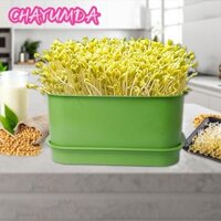 Nồi trồng bát ăn mầm CHAYUMDA, Khay đựng rau củ xanh bằng nhựa, có nắp nồi hạt đậu