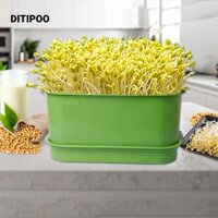 Nồi trồng bát đĩa DITIPOO, màu xanh lá cây có nắp khay nảy mầm, Bộ nảy mầm Đậu nhựa Nồi gieo hạt