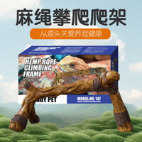 Nomo nomo nomo Leo Núi Thú Cưng Giống Bể Rừng Mưa Cảnh Quan Mô Phỏng Thằn Lằn Gai Dây Leo Cây Nhựa Chắc Chắn