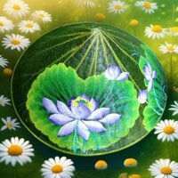 Nón lá sen Huế, tặng kèm bọc nón, nón làm từ lá sen đẳng cấp, quà tặng truyền thống