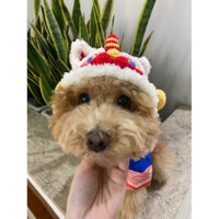 Nón Len Hình Đầu Lân Cho Chó Mèo