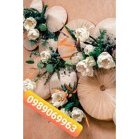 nón quai thao combo 1bộ/3c