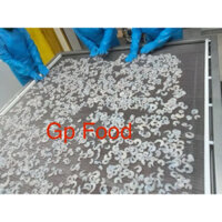 NÕN TÔM THẺ TƯƠI GÃY SIZE 20 - 40 (50 - 70 CON/KG
