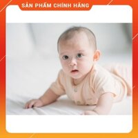 [NOUS] Bộ cài thẳng cộc petit kẻ vàng nhạt trắng N13-1