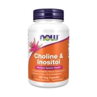 Now Foods Choline & Inositol 500mg Capsules, 100EA, 1EA