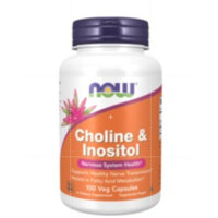 Now Foods Choline & Inositol 500mg Capsules, 100EA, 1EA