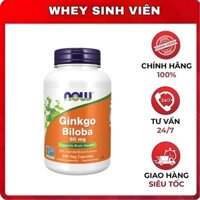 Now Ginkgo Biloba - 60mg - 240viên