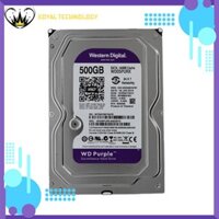 [NPP CHÍNH HÃNG] Ổ cứng máy tính WD Purple 500GB- 1TB(Tím) - Hàng chính hãng Western Digital