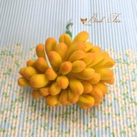 Nụ hoa Địa lan (Đầu nhọn) màu vàng tô cam