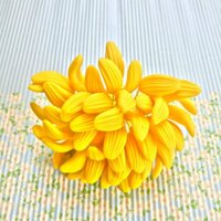 Nụ hoa Địa lan ( Móng tay) màu vàng