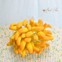 Nụ hoa Địa lan ( Móng tay) màu vàng tô cam