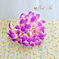 Nụ hoa Địa lan ( Móng tay) màu trắng tô tím