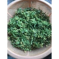 nụ hoa đu đủ đực