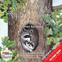 Nụ Hôn Chúc Ngủ Ngon Dành Cho Gấu Mèo Chester