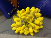 Nụ lan dendro vàng