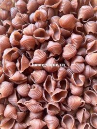 Nui Sò Gạo Lứt Sa Đéc