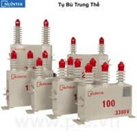Nuintek - APJ-P66382100D : Tụ bù trung thế 1P 100Kvar 3.8kV 50Hz