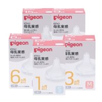 Núm ti Pigeon cổ rộng hàng chuẩn Nhật ( giá bán 1 chiếc)
