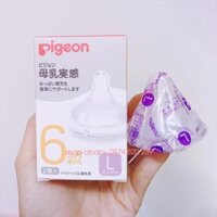 Núm ty cổ rộng nội địa pigeon Nhật 6m