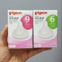 Núm ty pigeon cổ rộng nội địa Nhật