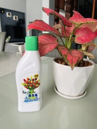 Nước cắm hoa Asa dinh dưỡng cho hoa cắt cành giúp giữ hoa tươi lâu - Asa 200ml