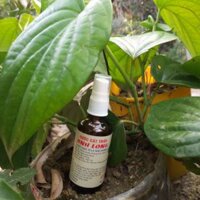 Nước cất Trầu Anh Long 100ml