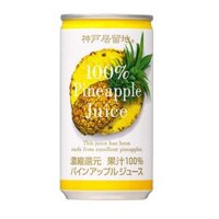Nước dứa ép 100% 185g