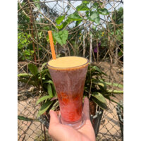 nước ép mô hình