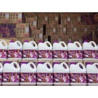 Nước giặt luxury hương nước hoa 6/1 Thái Lan can 3.500ml