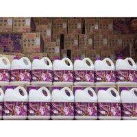 Nước giặt luxury hương nước hoa 6/1 Thái Lan can 3.500ml
